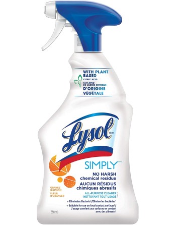 Lysol® 19200-49020 All Purpose Trigger, Simply Orange, Case of 12/650ml [CB490204] - [DefendUse.com] - 19200-49020 - Lysol® Clea