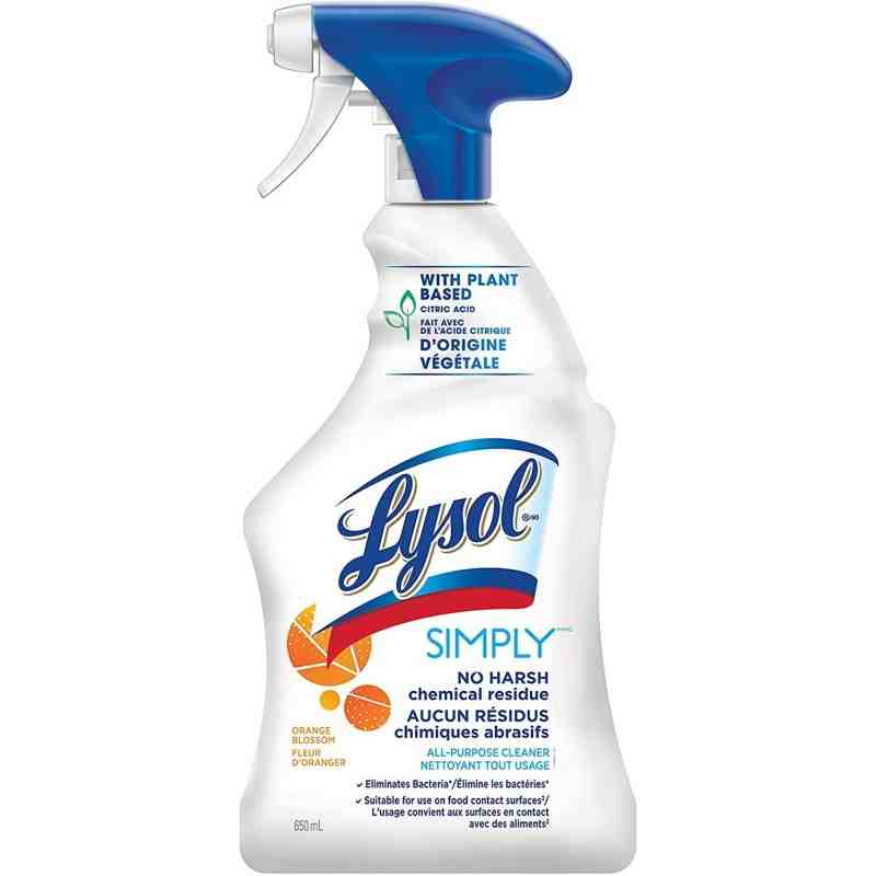 Lysol® 19200-49020 All Purpose Trigger, Simply Orange, Case of 12/650ml [CB490204] - [DefendUse.com] - 19200-49020 - Lysol® Clea