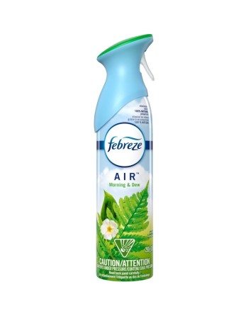 Febreze® Air Effects® Air Freshener, Meadow & Rain, Case of 6/250g [45535] - [DefendUse.com] - 37000-96255 - Air Fresheners