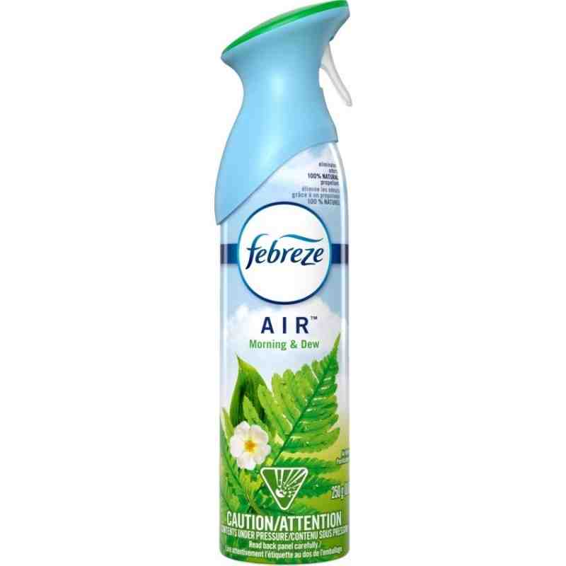 Febreze® Air Effects® Air Freshener, Meadow & Rain, Case of 6/250g [45535] - [DefendUse.com] - 37000-96255 - Air Fresheners
