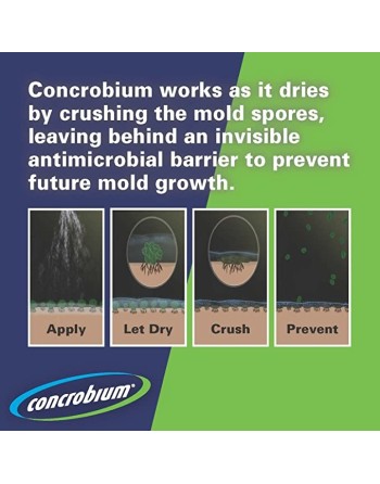 RUST-OLEUM 622400 Concrobium® Mold Control, Aerosol Can Size: 400 g - [DefendUse.com] - 622400 - Concrobium